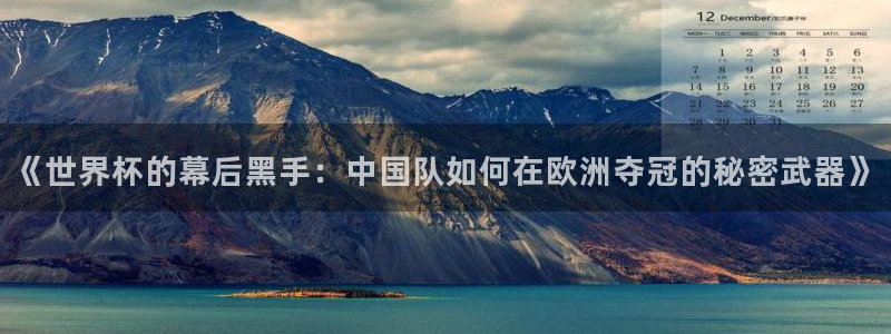 世界杯球队:《世界杯的幕后黑手:中国队如何在欧洲夺冠的秘密武器》