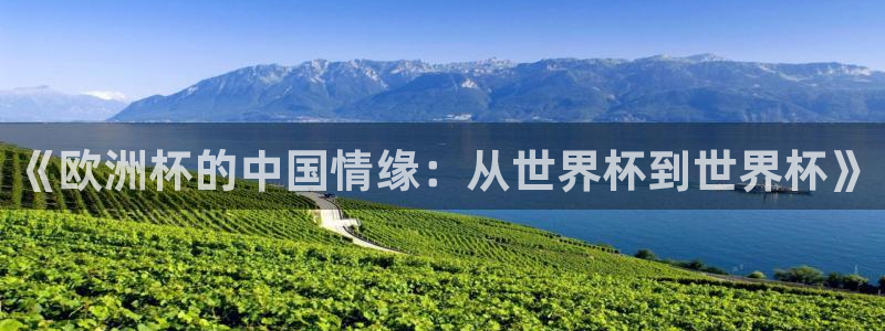 世界杯直播网:《欧洲杯的中国情缘:从世界杯到世界杯》