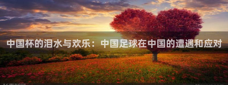 世界杯足球直播:中国杯的泪水与欢乐:中国足球在中国的遭遇和应对