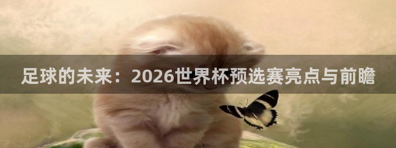葡萄牙世界杯赛程:足球的未来:2026世界杯预选赛亮点与前瞻