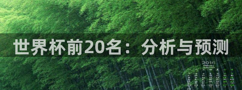 世界杯足球赛:世界杯前20名:分析与预测