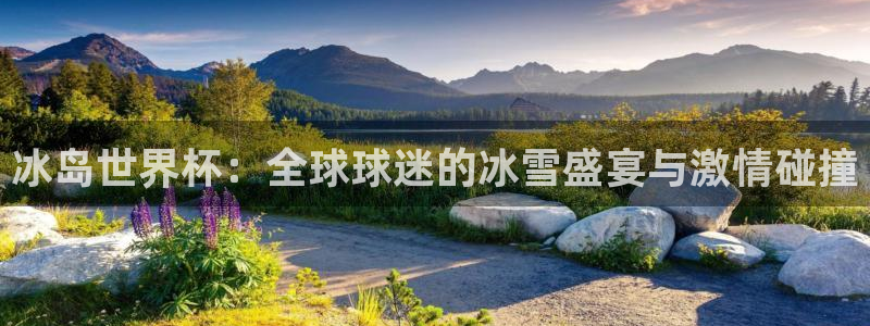 世界杯预选赛2026:冰岛世界杯:全球球迷的冰雪盛宴与激情碰撞